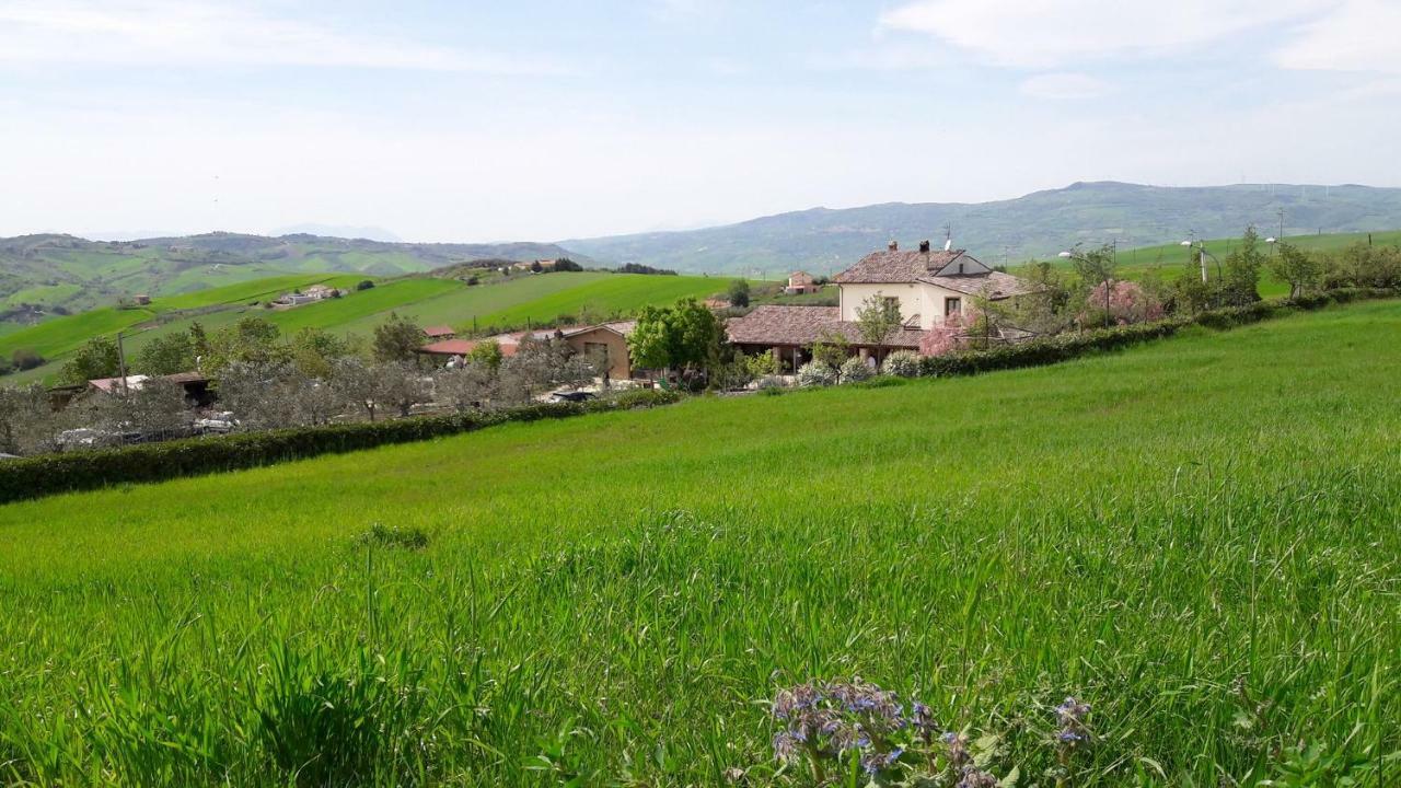 Agriturismo Regio Tratturo Ariano Irpino Exterior photo